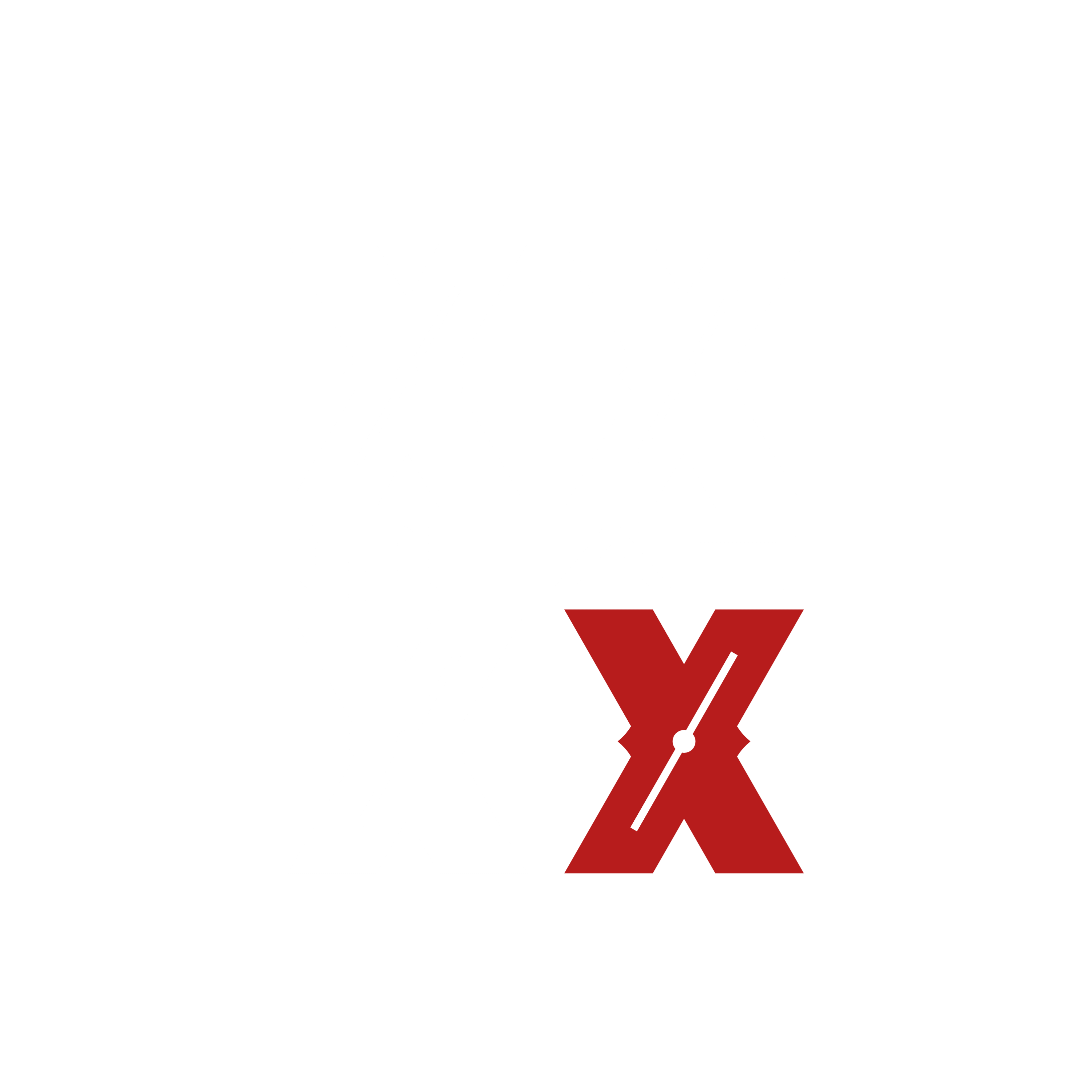 Quad X Logo